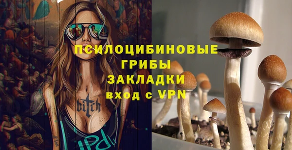 гидра Балахна