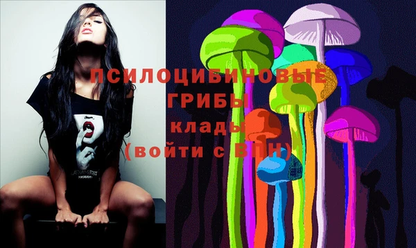 бошки Баксан