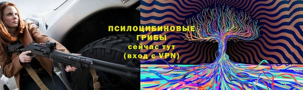 2c-b Александровское